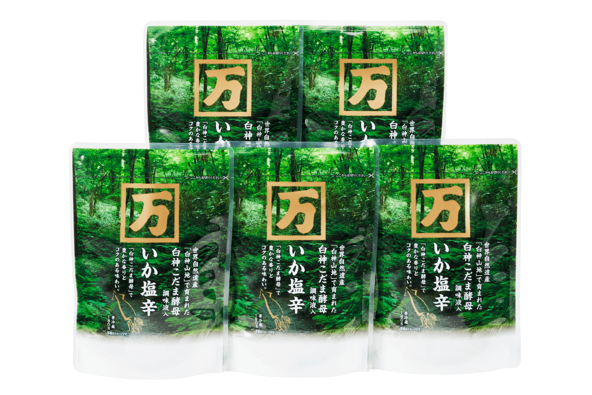特売セール！白神こだま酵母調味液入いか塩辛 180g 5個セット