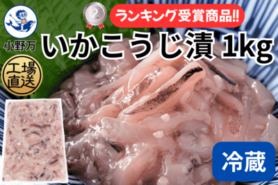 いかこうじ漬 1kg（冷蔵出荷商品）