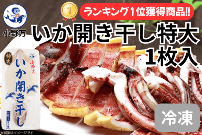 いか開き干し 特大 1枚入り（数量限定商品）（冷凍出荷商品）