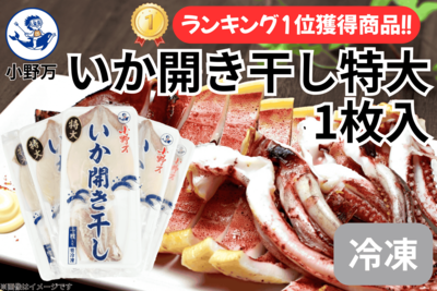 いか開き干し 特大 1枚入り 5個セット（数量限定商品）（冷凍出荷商品）