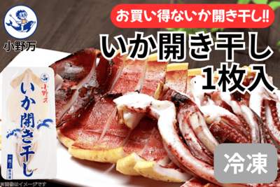 いか開き干し 1枚入り（冷凍出荷商品）