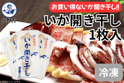 いか開き干し 1枚入り 5個セット（冷凍出荷商品）