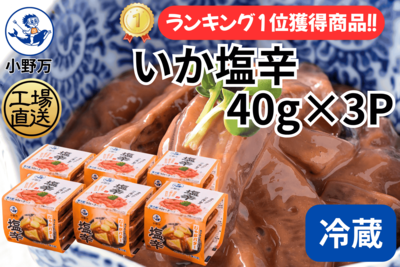 いか塩辛 40g&times;3P 6個セット