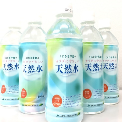 くにさき半島のカラダにやさしい天然水を1ケース/500ml×24本※天然