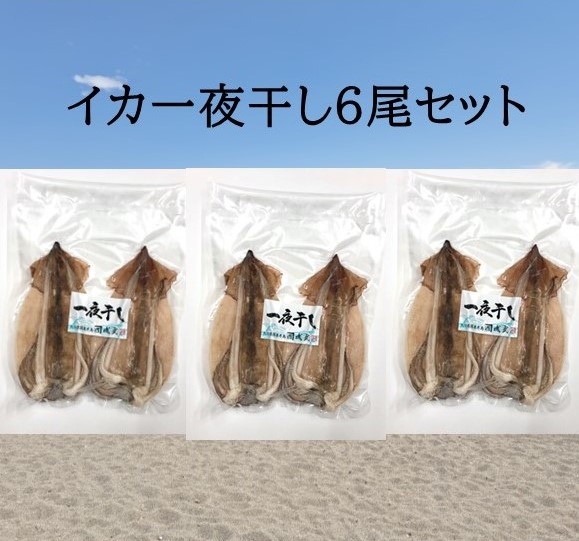 磯武さんのイカ一夜干し6尾（2尾×3袋） | おおいた国東つうはん