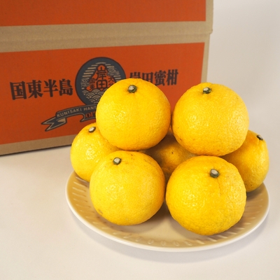 岸田果樹園のはるか4kg