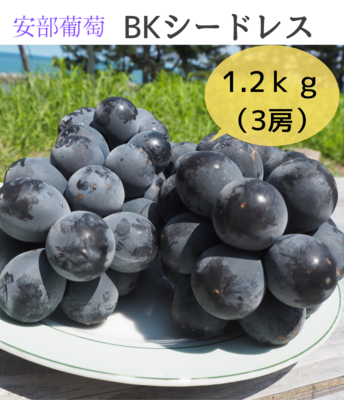 安部葡萄BKシードレス1.2kg（3房） ※期間限定