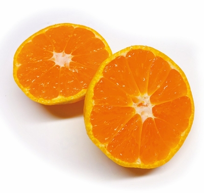 【期間限定】荒木農園のおっきい極早生みかん　5ｋｇ　※玉サイズ2L・３L