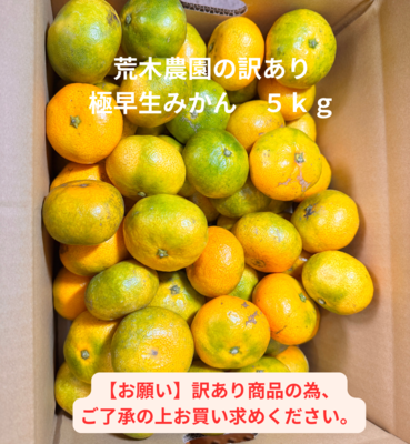 【期間限定】訳あり荒木農園の極早生みかん　5ｋｇ　※玉サイズ2S～3L