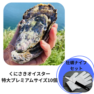 【特大】プレミアムサイズくにさきオイスター10個　※牡蠣ナイフ付き