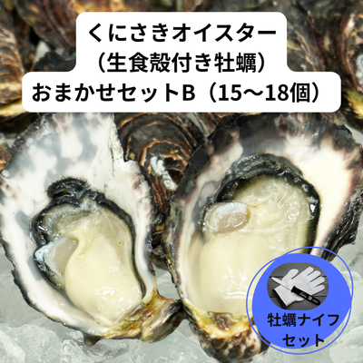 Ostra牡蠣ナイフ付き/おまかせセットB（15～18個）くにさきオイスター生食用殻付牡蠣