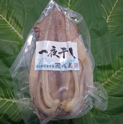 磯武さんのイカ一夜干し1kg （4匹～5匹）※1匹200ｇ～400ｇ超とサイズは不揃いとなります