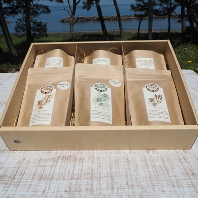 健康茶セット（桑の葉茶・桑の葉玄米茶・びわの葉茶・柿の葉茶、計6袋）