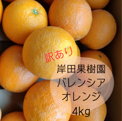 岸田果樹園の訳ありバレンシアオレンジ4kg　希少な国産バレンシア