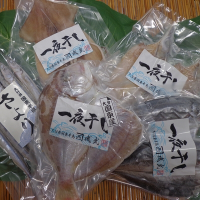 一夜干し詰合せ※贈答用