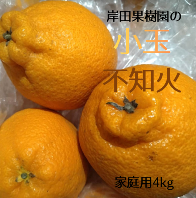 岸田果樹園の小玉不知火/しらぬい※家庭用4kg/Sサイズ(20～30玉)