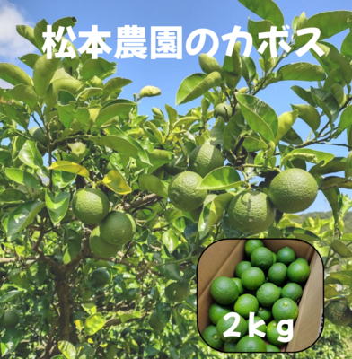 松本農園のカボス2㎏　※期間限定