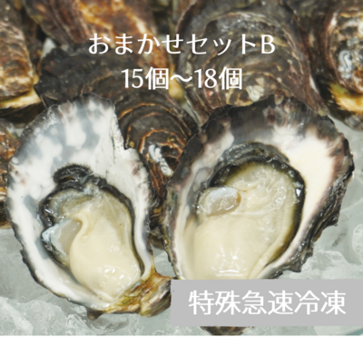 【特殊急速冷凍】くにさきオイスター生食用殻付牡蠣おまかせセットB/15～18個