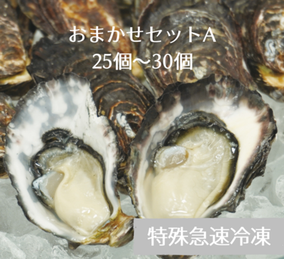 【特殊急速冷凍】くにさきオイスター生食用殻付牡蠣おまかせセットA/25～30個