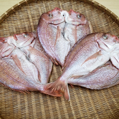大きな天然鯛の一夜干し（特大3尾）500ｇ以上&times;3尾