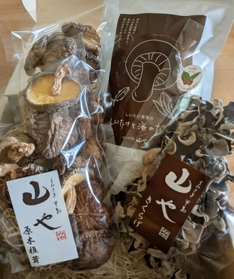 しいたけ農家が作った厳選ギフトセット
