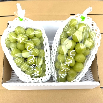 【数量限定販売】安部葡萄甘パリシャインマスカット1.2kg（2房） ※期間限定/数量限定　旅館の料理長が選ぶシャインマスカット1日10箱限定出荷