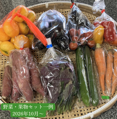 こだわりの国東旬野菜＆果物詰合せ（旬一押し）/概ね8品目程度