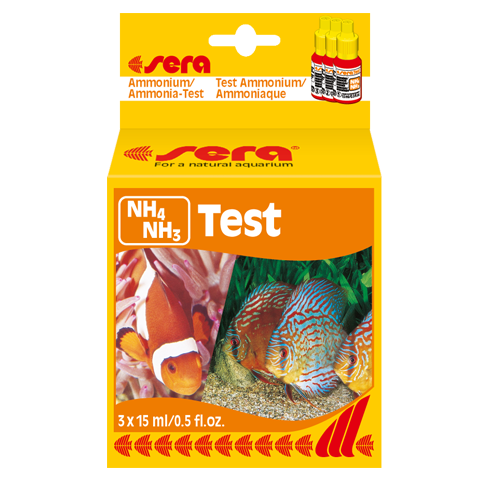 テスト用 NH4NH3テスト_1615373231734.png