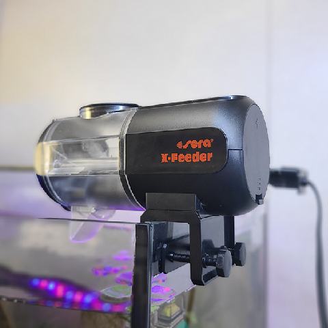 X-フィーダー