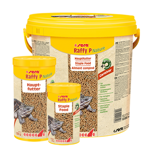 ゲベとその飼い主 ラティーファ 4枚 ラフィP Nature｜セラジャパン直販サイト | セラジャパンストア