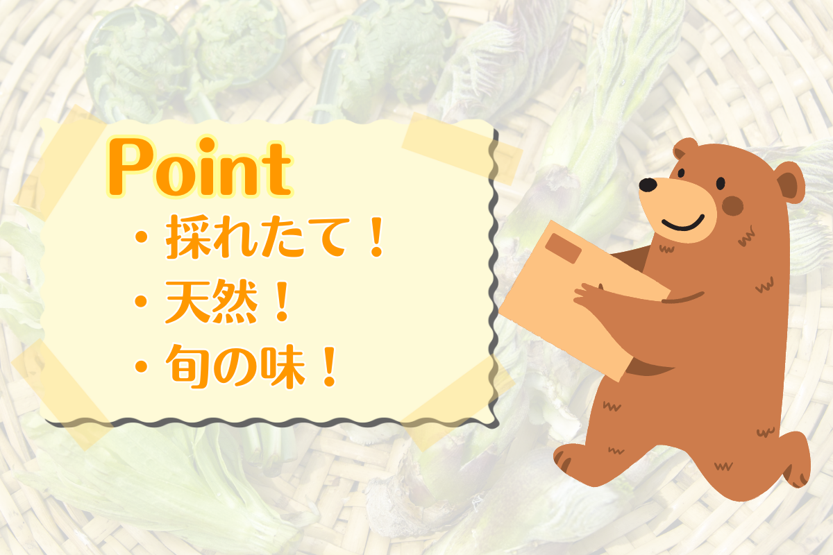 山菜BOX | 詩の国商店