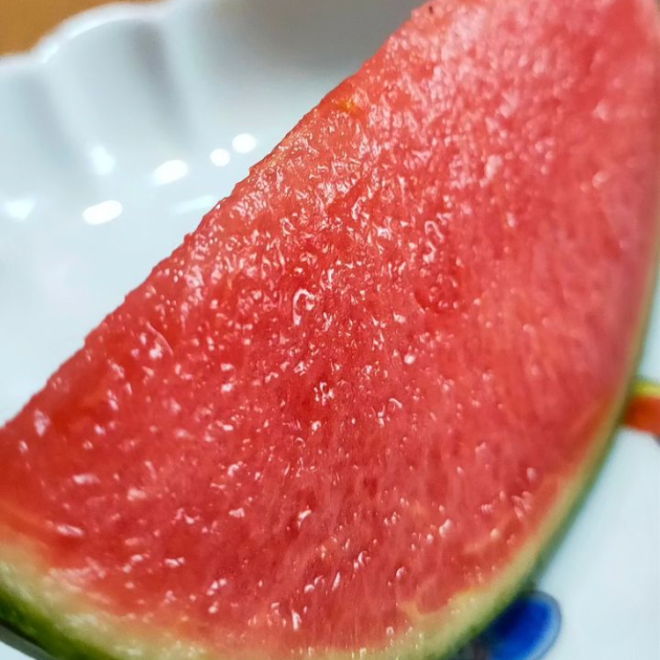 7月下旬頃発送】あきた夏丸チッチェ2玉 | 詩の国商店