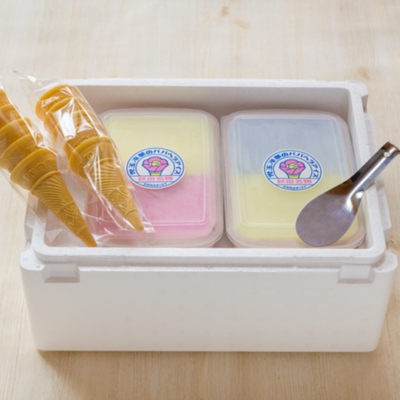 児玉冷菓のババヘラアイス　ソーダ＆レモンタッパセット｜アイス｜児玉冷菓