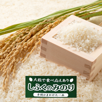 【令和７年産 新米】しふくのみのり ５kg｜10月中旬以降発送｜太結稲