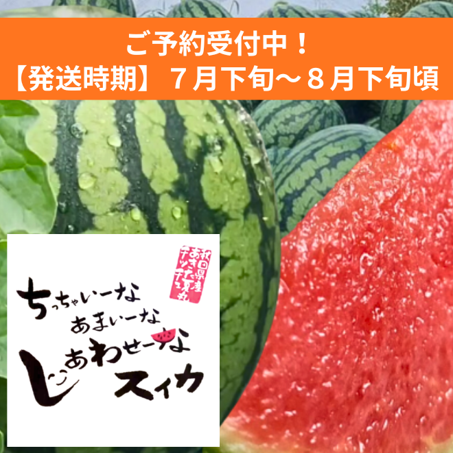 7月下旬頃発送】あきた夏丸チッチェ1玉 | 詩の国商店