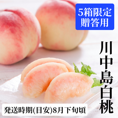 【8月下旬頃発送予定】川中島白桃 2㎏（贈答用）｜フルーツ/果物｜フジノ果