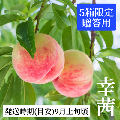 【9月上旬頃発送】幸茜 2㎏（贈答用）｜フルーツ/果物｜フジノ果