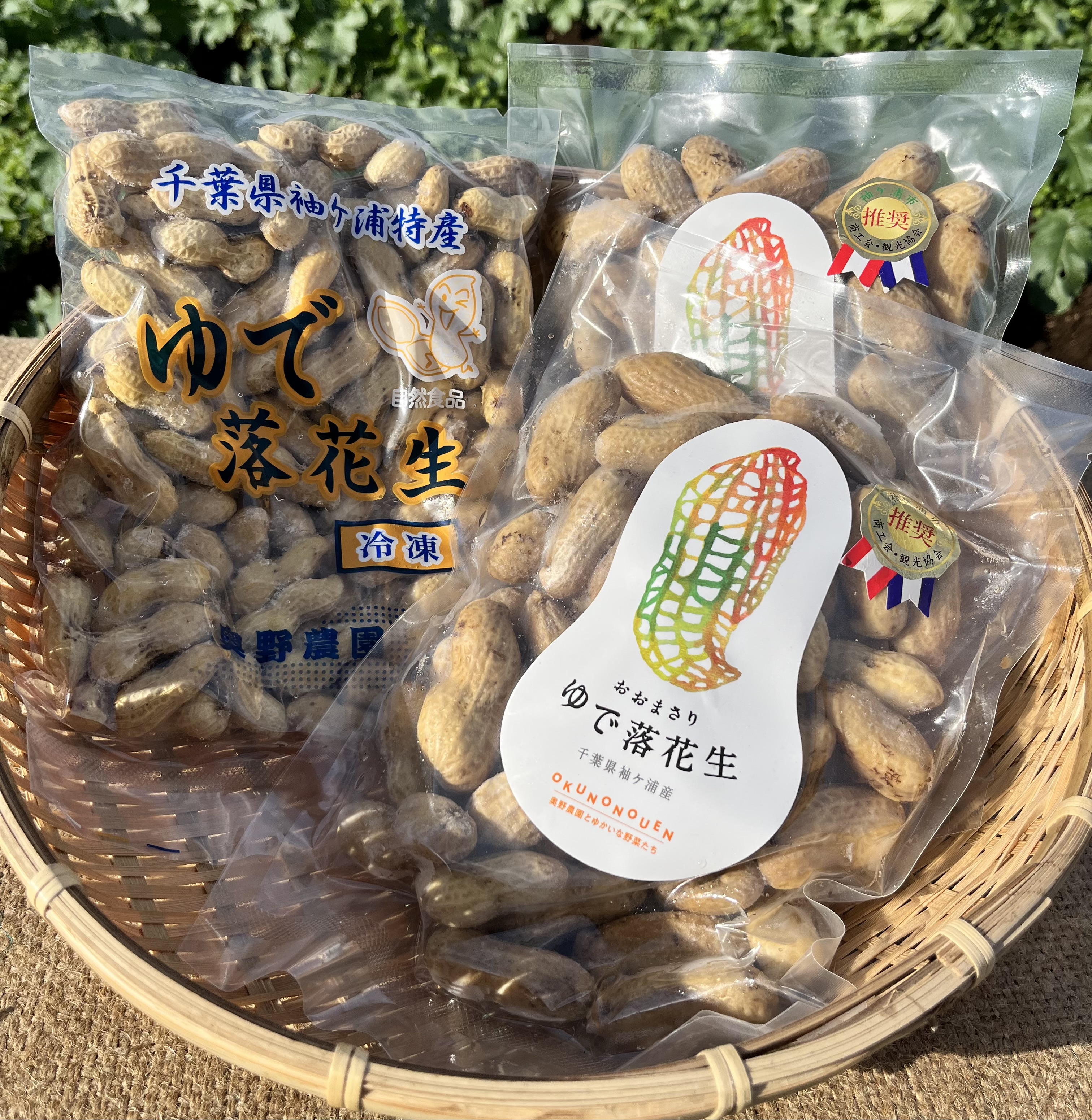 茹で落花生 おおまさりの生10K❗ おおまさりの生落花生（茹で落花生用）