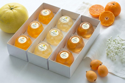 長崎旬彩 9個入