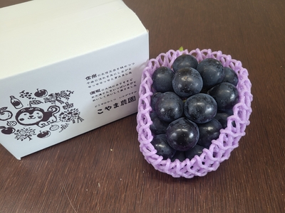 クール送料込み　特選清秋　ナガノパープル１房　（沖縄は除く）