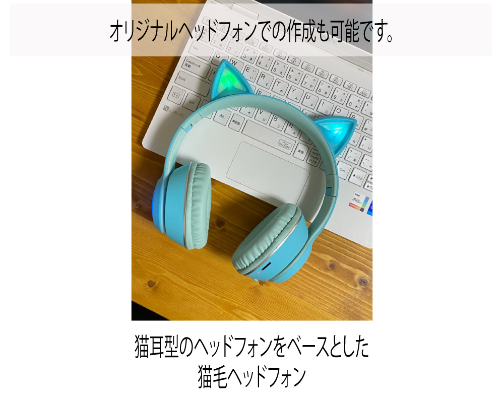 猫毛ヘッドフォン MECAT | RCCBCストア