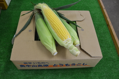 奥中山高原のとうもろこし(恵味)×2箱