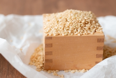 11月末販売予定【令和7年度収穫】 もち米