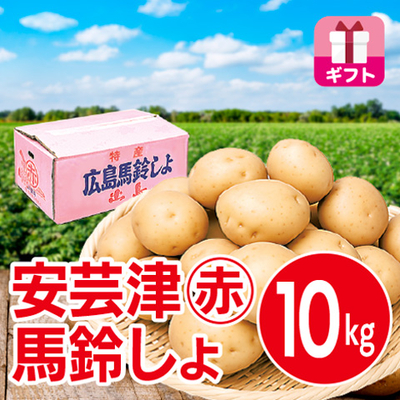 安芸津マル赤馬鈴しょ　10kg GIFT