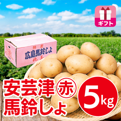 安芸津マル赤馬鈴しょ　５kg GIFT