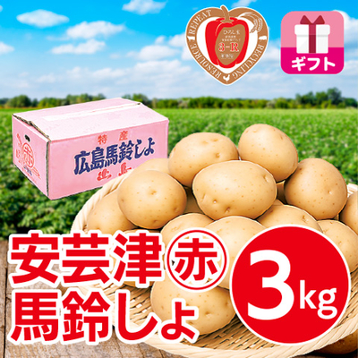安芸津マル赤馬鈴しょ　３kg GIFT