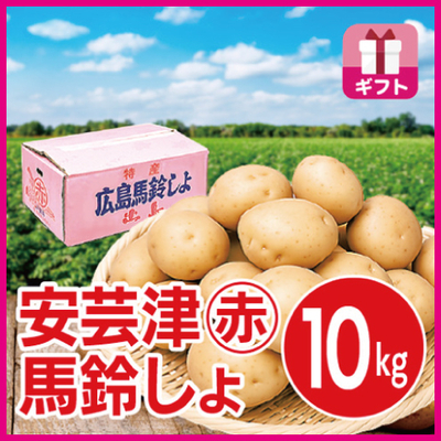 安芸津マル赤馬鈴しょ　10kg GIFT