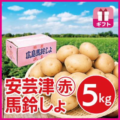 安芸津マル赤馬鈴しょ　５kg GIFT