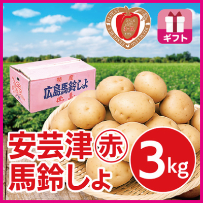 安芸津マル赤馬鈴しょ　３kg GIFT