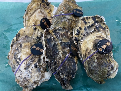 市場直送！【独眼竜･身入り最強】殻付き生牡蠣(5個入)生食用